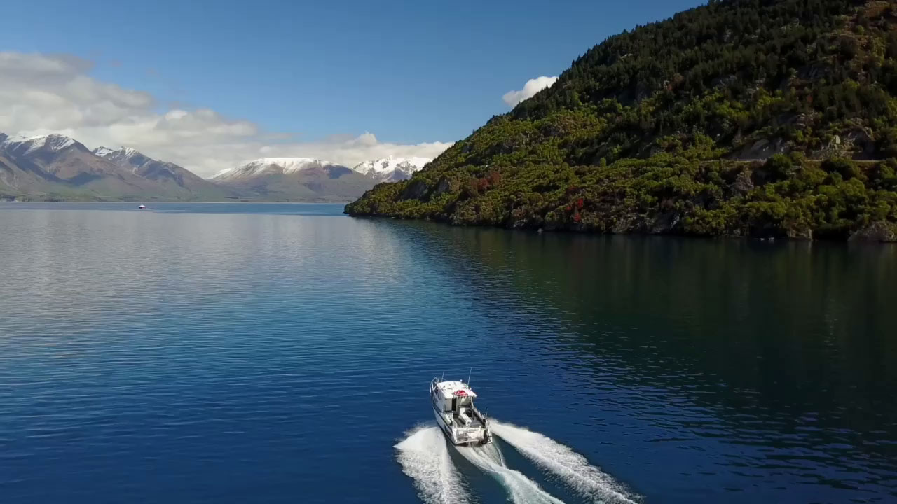Where to Go Fishing in New Zealand? Queenstown Fishing